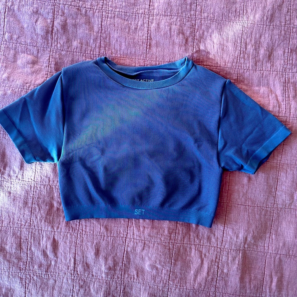 Set Active SculptFlex Tee Shirt Medium limited edition plum color